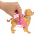 BARBIE MALIBU ΒΟΛΤΑ ΜΕ ΣΚΥΛΑΚΙ JJB46 BARBIE MALIBU ΒΟΛΤΑ ΜΕ ΣΚΥΛΑΚΙ JJB46