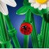 LEGO BOTANICALS DAISIES ΜΑΡΓΑΡΙΤΕΣ