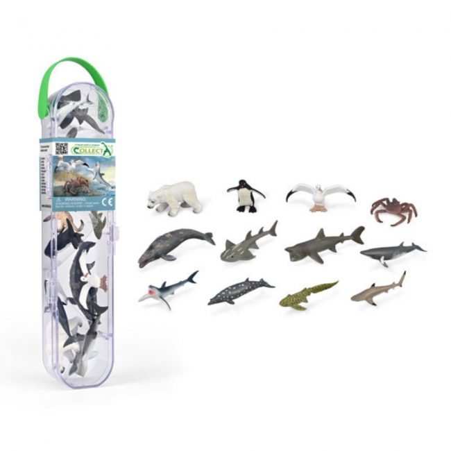 COLLECTA ΚΑΣΕΤΙΝΑ ΜΕ ΜΙΝΙ ΘΑΛΑΣΣΙΑ ΖΩΑ COLLECTA ΚΑΣΕΤΙΝΑ ΜΕ ΜΙΝΙ ΘΑΛΑΣΣΙΑ ΖΩΑ