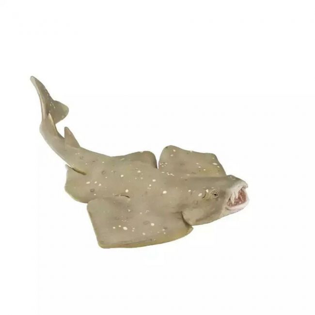 COLLECTA M ΑΓΓΕΛΟΚΑΡΧΑΡΙΑΣ 88999