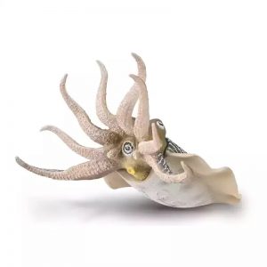 COLLECTA ΚΟΙΝΗ ΣΟΥΠΙΑ 80009