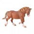 COLLECTA ΒΡΕΤΑΝΙΚΟΣ ΕΠΙΒΗΤΟΡΑΣ ΕΡΓΑΣΙΑΣ COLLECTA ΒΡΕΤΑΝΙΚΟΣ ΕΠΙΒΗΤΟΡΑΣ ΕΡΓΑΣΙΑΣ