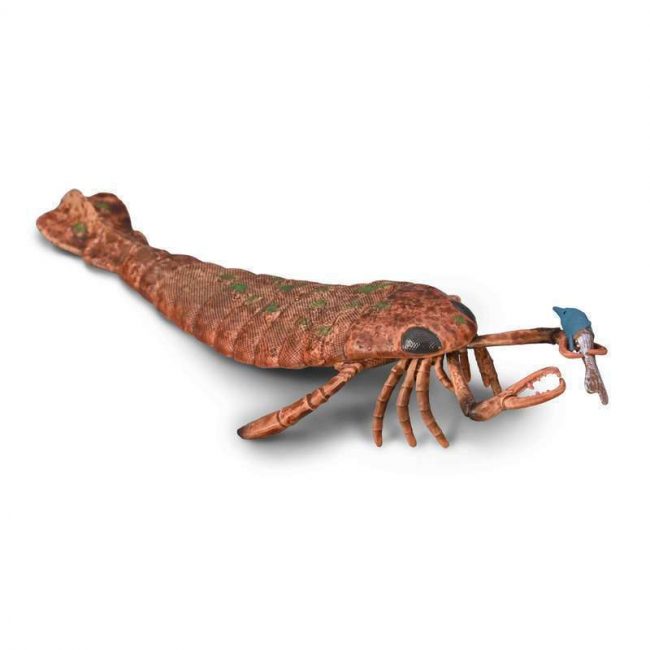 COLLECTA XL ΓΕΚΕΛΟΠΤΕΡΟΣ ΜΕ ΘΥΡΑΜΑ 80030 COLLECTA XL ΓΕΚΕΛΟΠΤΕΡΟΣ ΜΕ ΘΥΡΑΜΑ 80030